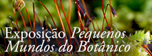 Exposição "Pequenos Mundos do Botânico"