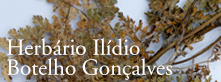 Herbário Ilídio Botelho Gonçalves