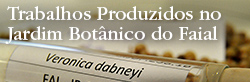 Exposição "Pequenos Mundos do Botânico"